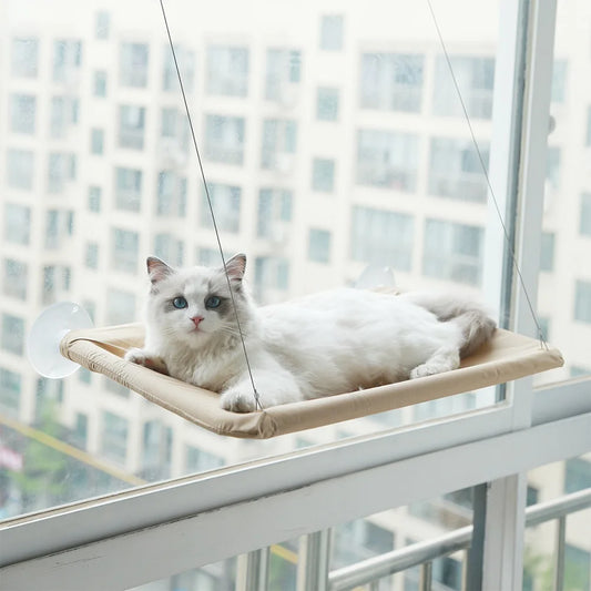 Cat Hammock Window